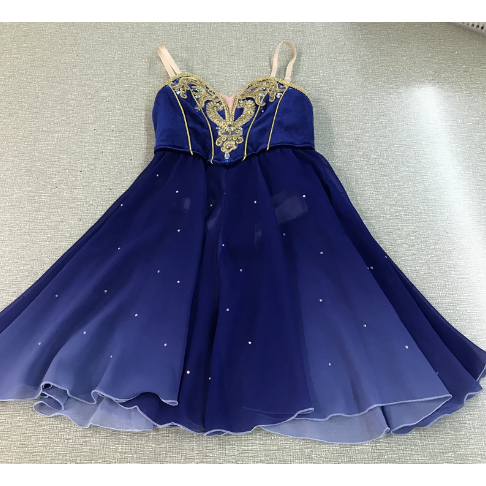 Romantic Contemporary Ballet Dresses - Choose Color