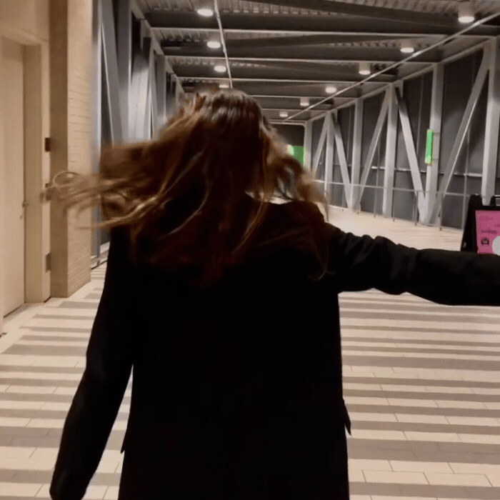 Neutrals Starter Pack - 3-Pack Buckle Scrunchies Bundle - No Snagging, No Tangles