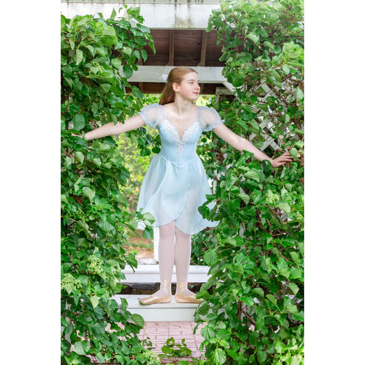Alice Wonderland Ballet Performance Dress  - Two Styles