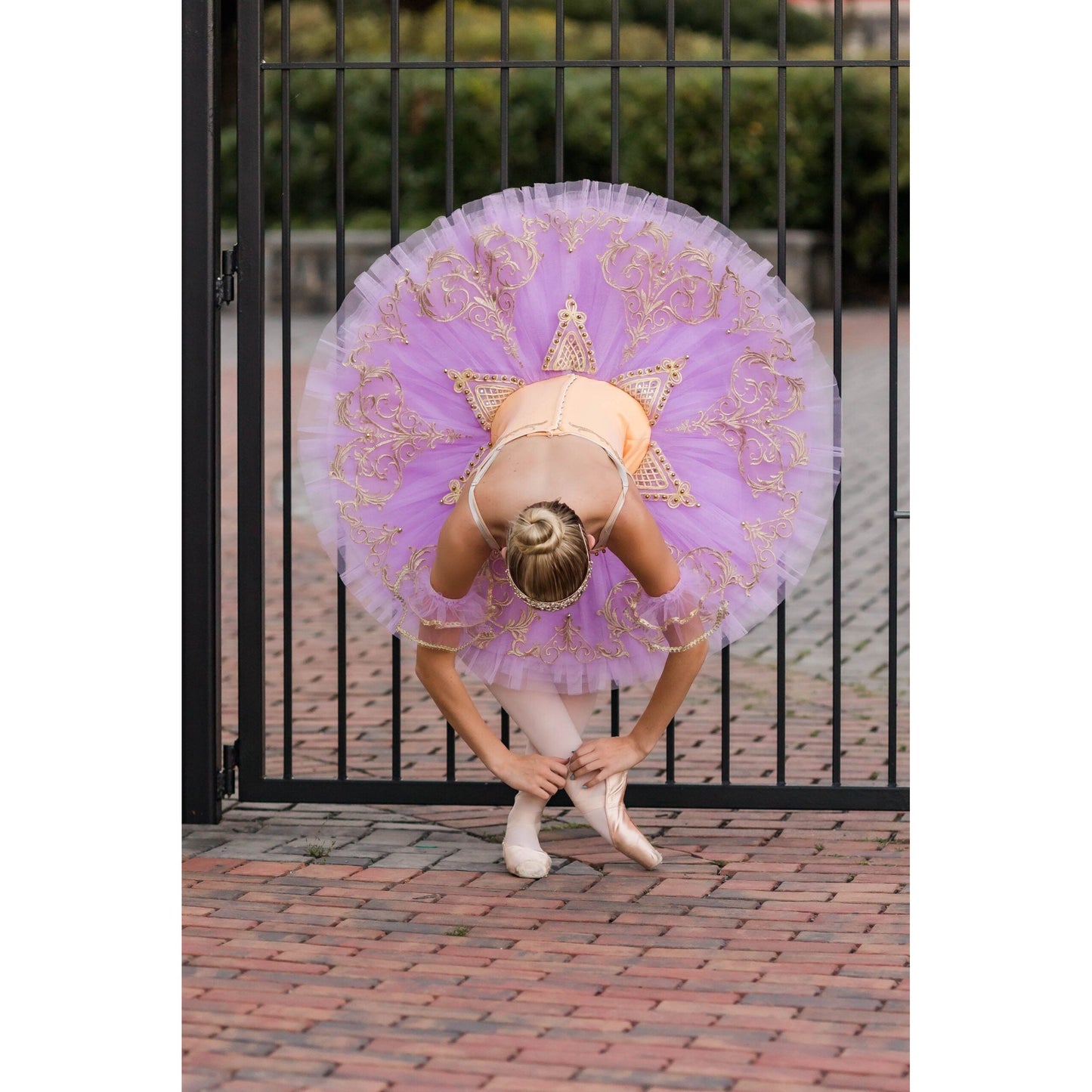 Golden Sugar Plum Fairy Pancake Tutu (Gold, Pink or Plum )
