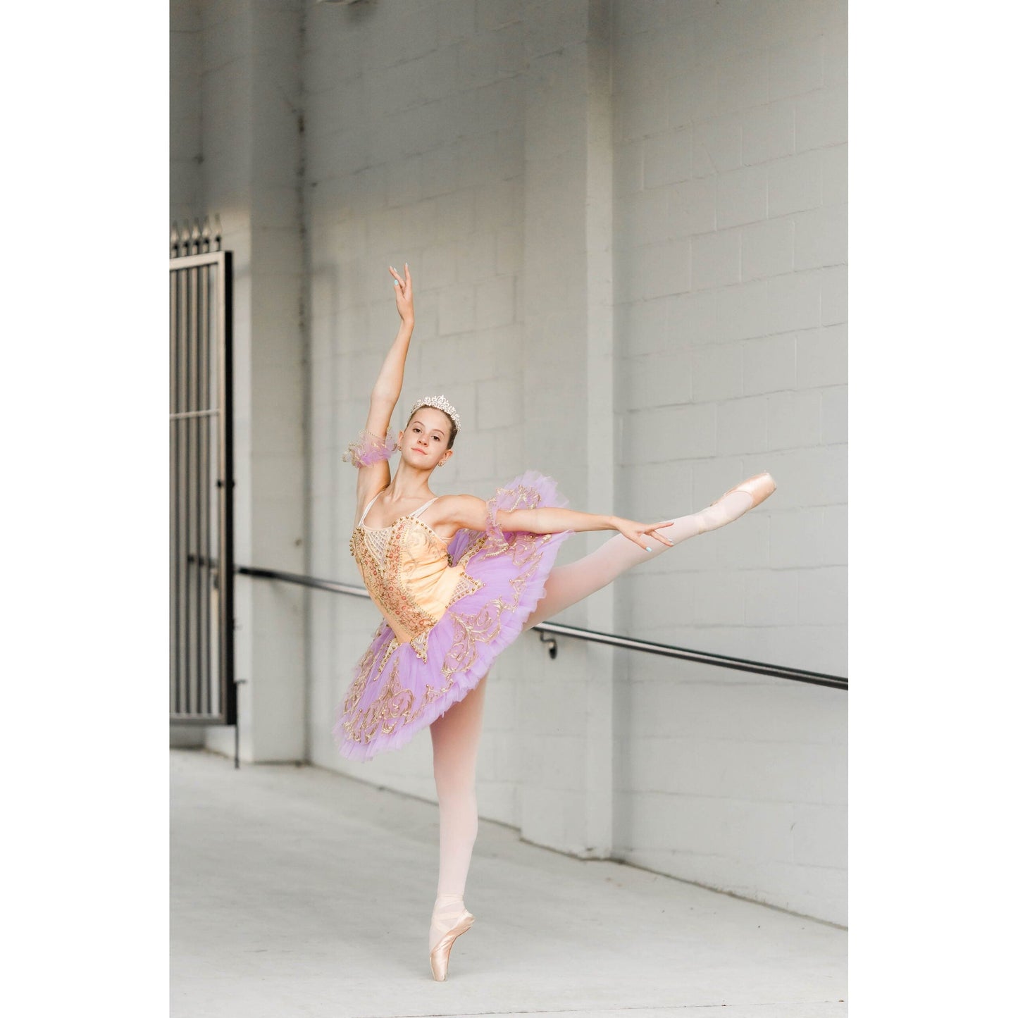 Golden Sugar Plum Fairy Pancake Tutu (Gold, Pink or Plum )