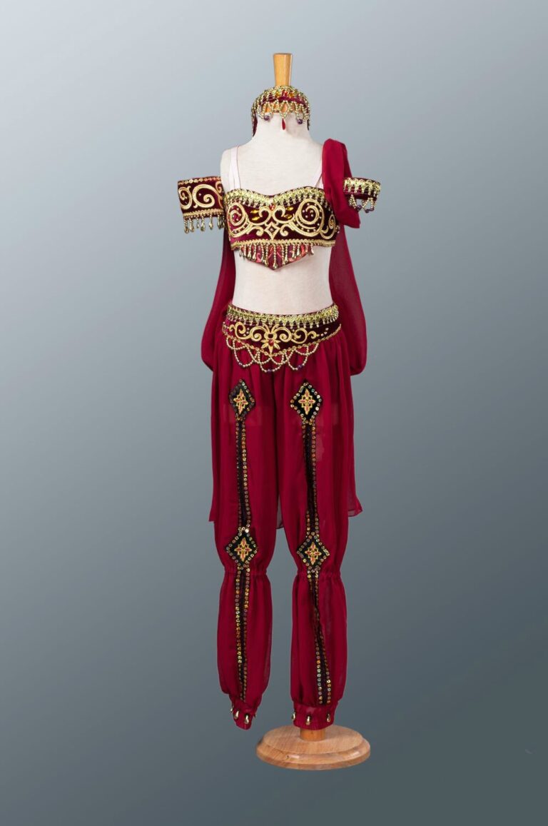 Professional Arabian Ballet Costume 8 Colors Arabesque Life 